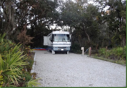Myakka River (13)