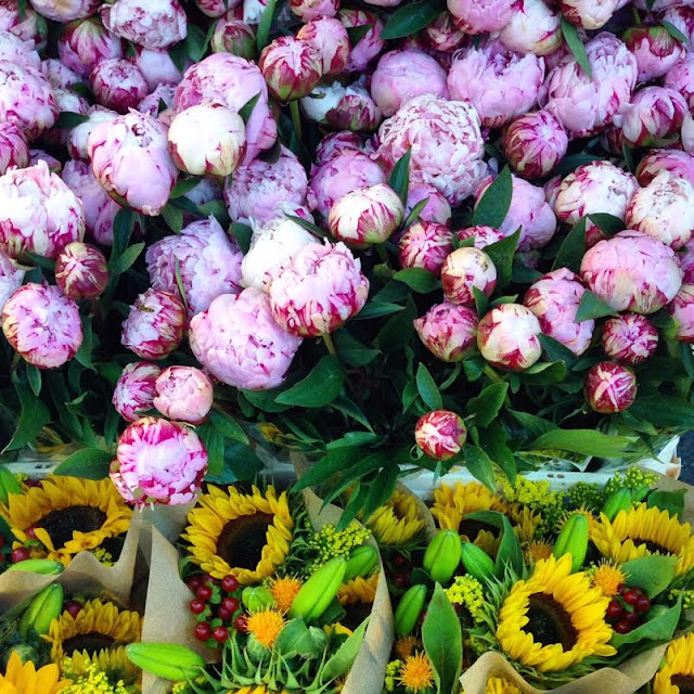 Peonies and Sunflowers