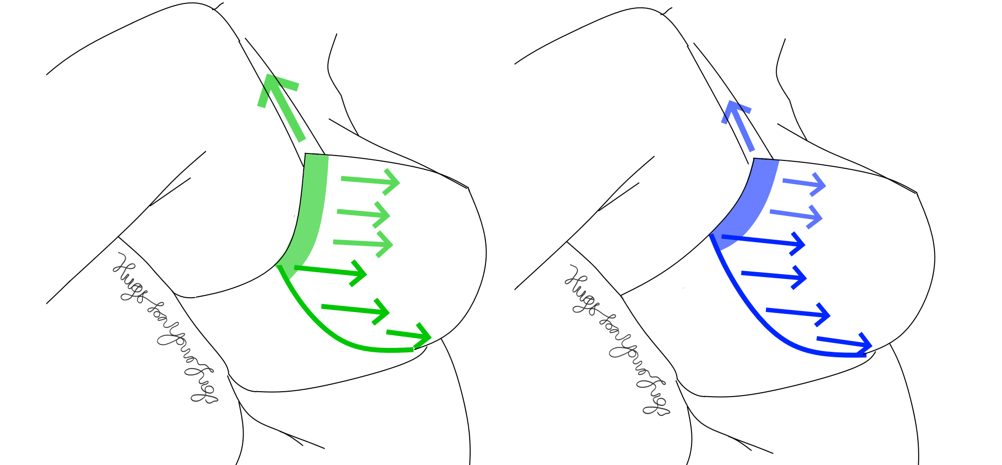 Tip: When narrowing a gore, DO NOT take in the bottom too much. It will  shift the wires and mess up the cup fit! : r/ABraThatFits