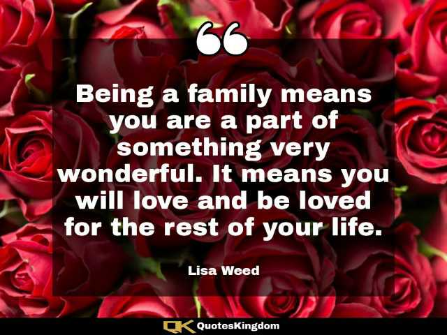 Family love quote. Cute family quote. Being a family means you are a part of something very wonderful. It ...