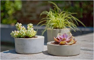 Designing and creating a garden. Common Mistakes in a garden.