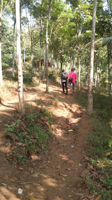 Gunung Munara Jalur Awal Pendakian