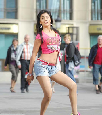 South Actress Shriya Saran Hot Navel Show Photos Gallery