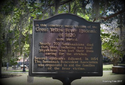 Yellow Fever