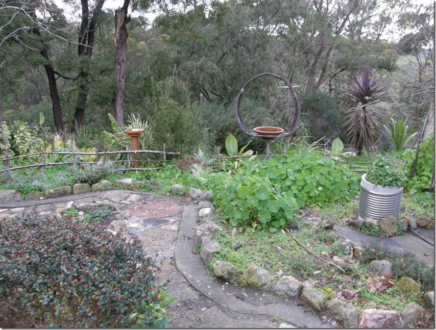 Herb Garden 2         