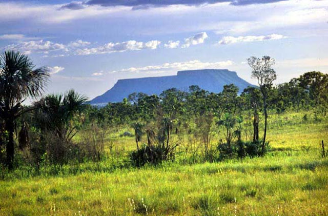 CERRADO