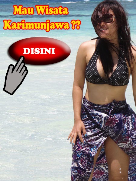 http://www.tourkarimunjawa.net/2012/12/photo-peserta-tour-karimunjawa.html