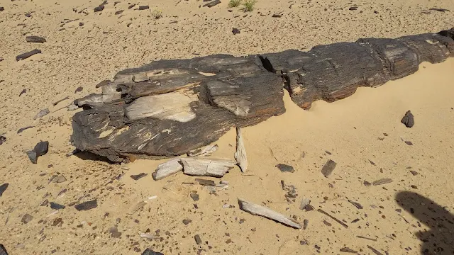 Petrified Forest in fayoum