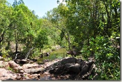 walker creek