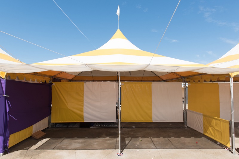 Top Tips on Purchasing the Best Canopies