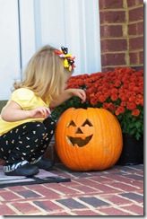 Playing with Pumpkin