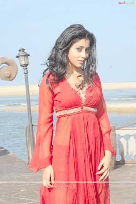 Shriya Saran Photoshoot Pictures