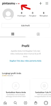 Profil Akun Instagram