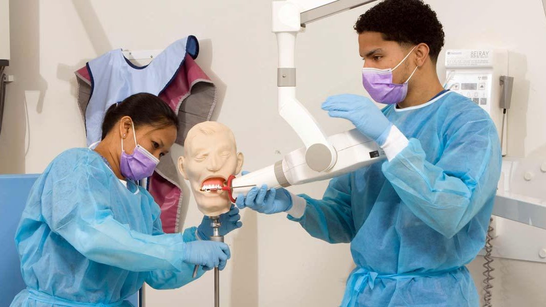 The College Of Health Care Professions - Dental Assistant Schools In Dallas