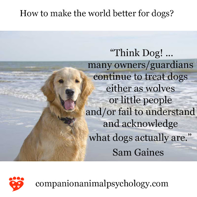 Think Dog And The Role Of Food