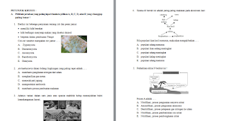 Soal Ujian Sekolah Biologi SMA/MA dan Jawabannya