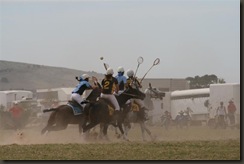 IMG_5113 (Medium)