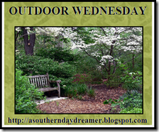 Outdoor_Wednesday_logo