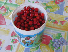 bucket of cherries