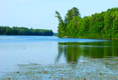 2. Kennebec River-kab
