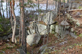 Valokuva