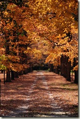 Private Drive