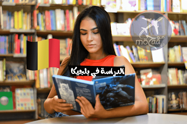 الدراسة في بلجيكا - خطوات الدراسة في بلجيكا و شروطها 