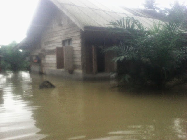 Dayah MURINA tergenang Banjir : Desember 2014