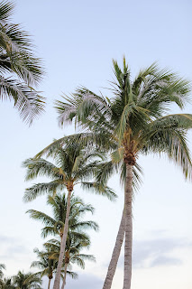 best venue for a florida destination wedding on the beach