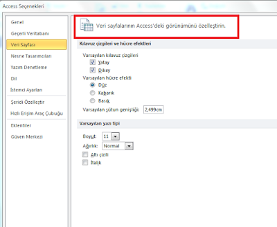 Access Seçenekleri