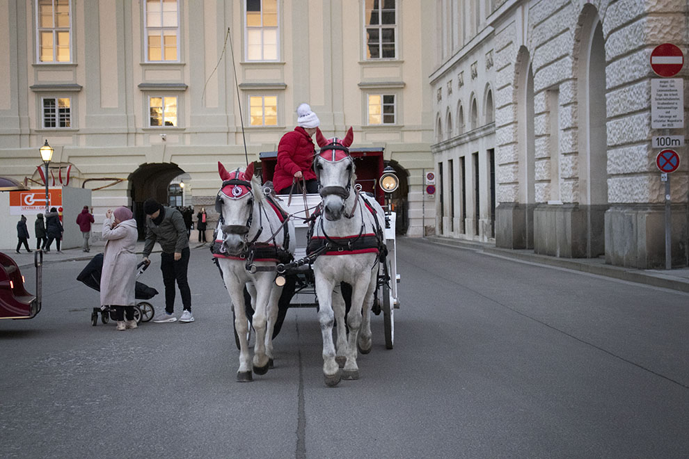 Best Things To Do in Vienna in Winter, horse-drawn carriage or fiaker in Vienna