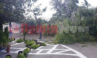 Ηλεία: Ζημιές λόγω των ισχυρών ανέμων