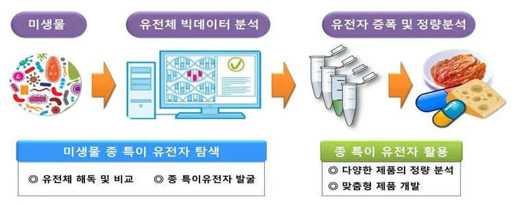 농촌진흥청, 세계 최초 바실러스균 유전체정보 기반 정량분석기술 개발