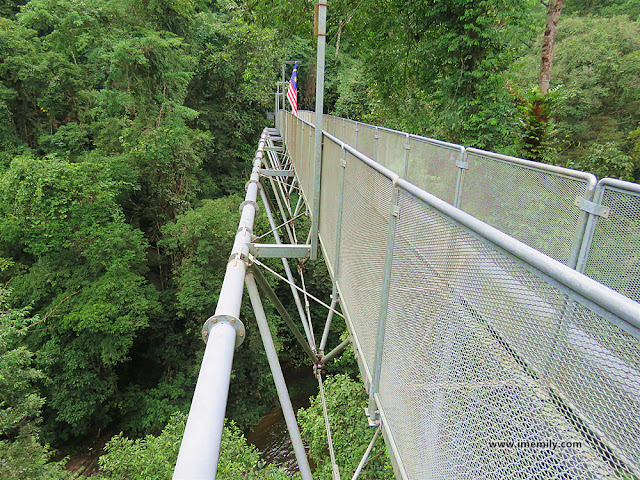 Tree Top Walk Sungai Sedim, Kedah