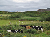 Ring Forts Of Cahersiveen