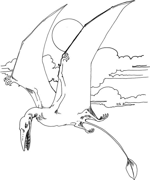  Gambar  Mewarnai Dinosaurus  Terbaru gambarcoloring