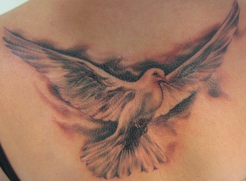 3D Dove TattoosPopular Tattoo Design