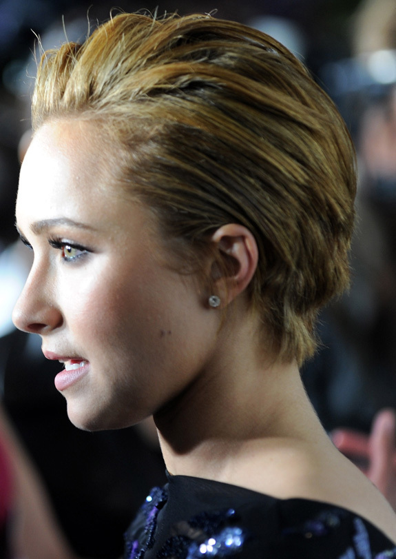 hayden panettiere bob hairstyle back. hayden panettiere bob