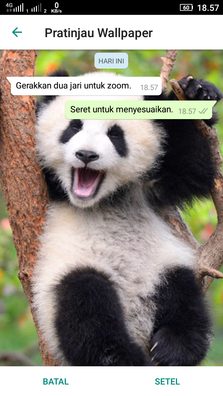 Cara Mengganti Background Wallpaper Chat Whatsapp Dengan Gambar Dari