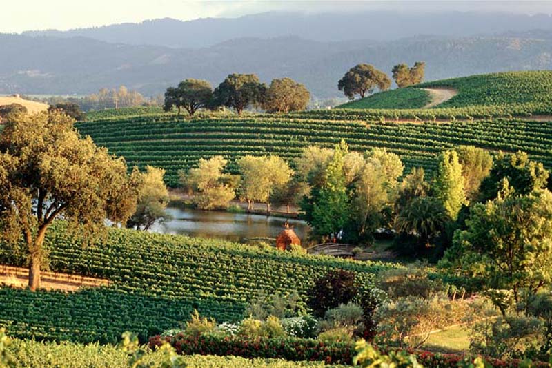  Napa Valley, California