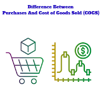 Purchases And Cost of Goods Sold (COGS)