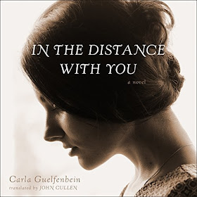 Review of In the Distance with You by Carla Guelfenbein