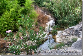 IMG_3392ab1
