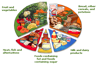 food group is a collection of foods that share similar nutritional ...