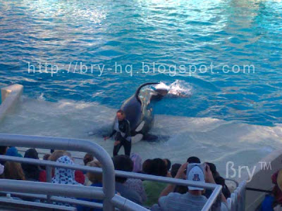 Seaworld Death