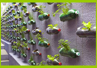 Contoh Desain Taman Rumah Minimalis dengan Media Tanam di Tembok