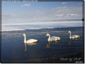 _MG_7865P32