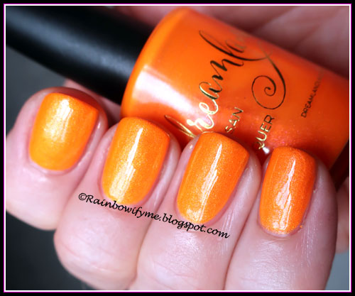 Dreamland Lacquer: Sun Conure