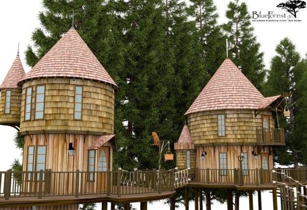 Kids Tree House