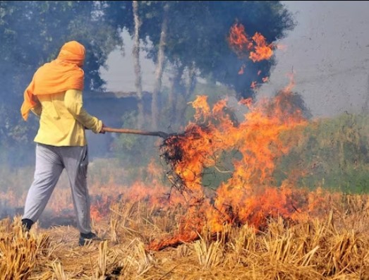 Air Pollution: हर किसी ने पंजाब के किसानों को विलेन बना दिया... जानें NGT ने ऐसा क्‍यों कहा?